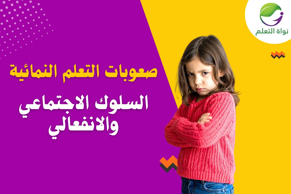 Developmental Disabilities– Social and Emotional Functioning